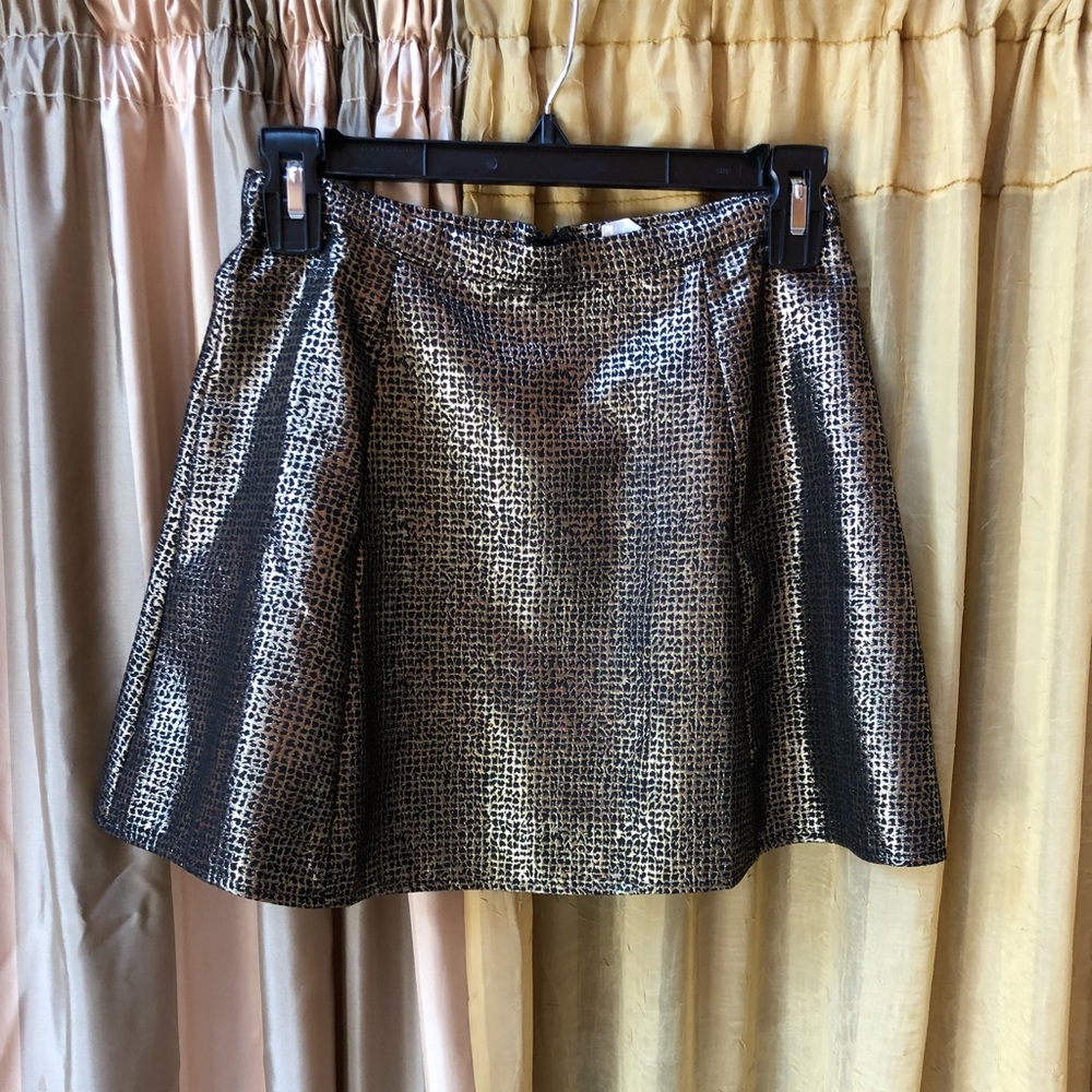 Metallic Skirt